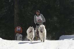 San Bernardino 2008